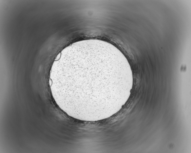 X0000101971153200808151331