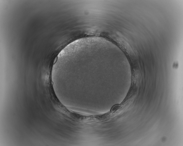 X0000101971154200808151331