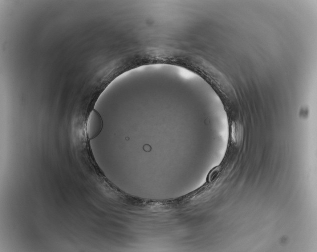 X0000101971155200808151331