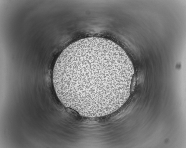 X0000101971156200808151331