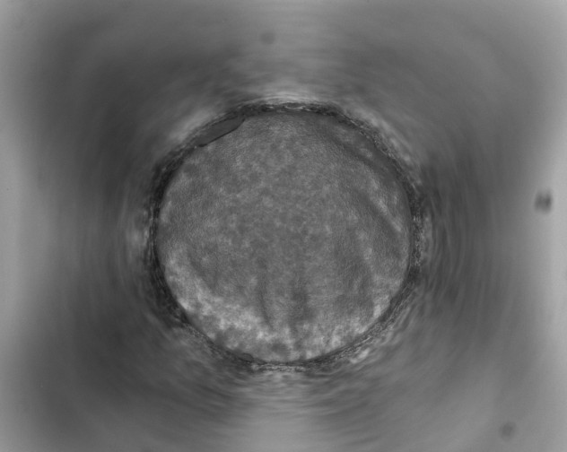 X0000101971157200808151331