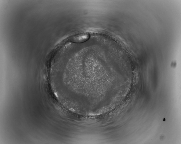 X0000101971158200808151331