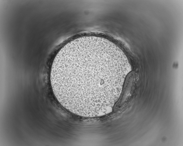X0000101971159200808151331