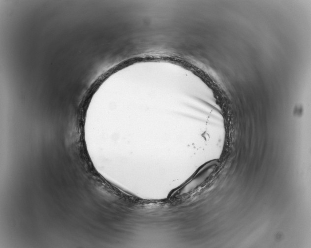 X0000101971160200808151331
