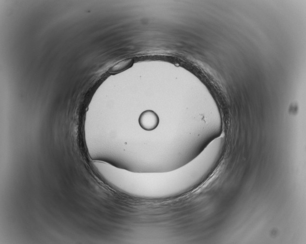 X0000101971161200808151331