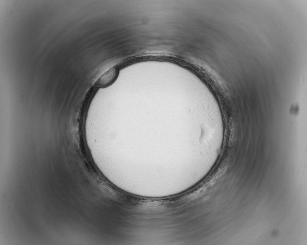 X0000101971162200808151331
