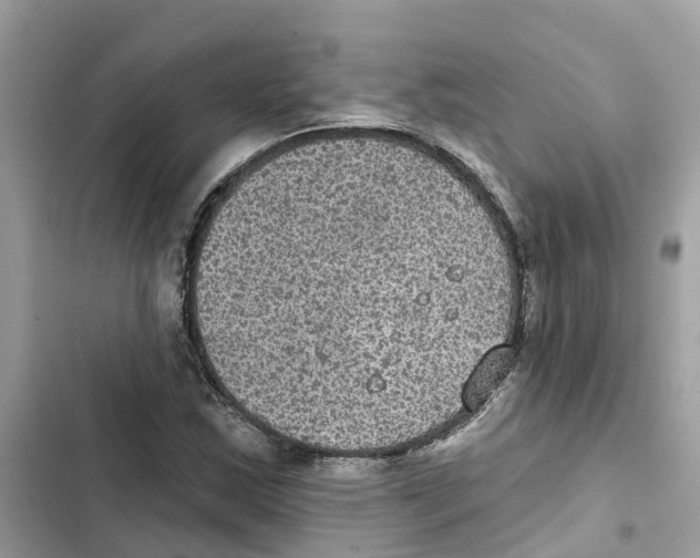 X0000101971163200808151331