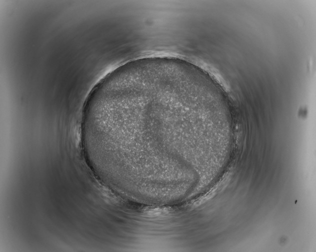X0000101971165200808151331