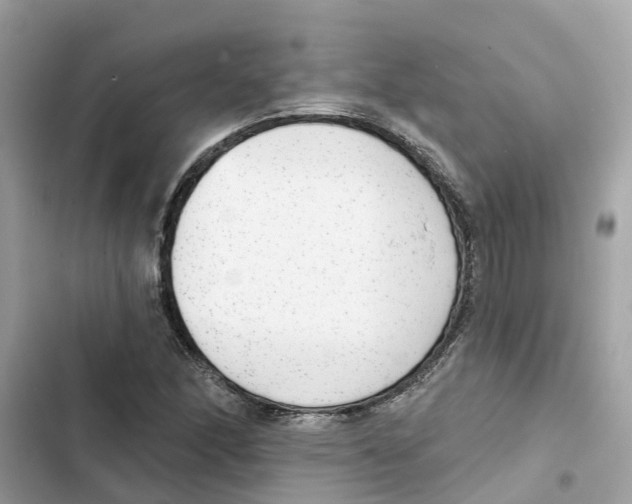 X0000101971166200808151331