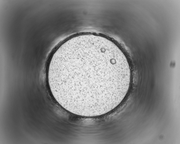 X0000101971167200808151331