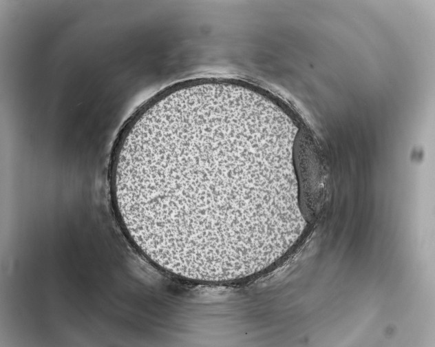 X0000101971168200808151331