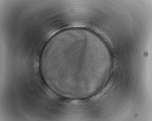 X0000101971169200808151331