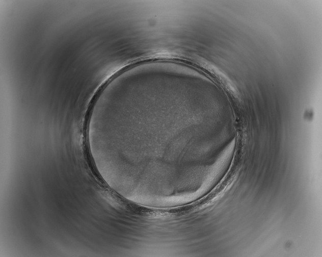 X0000101971170200808151331