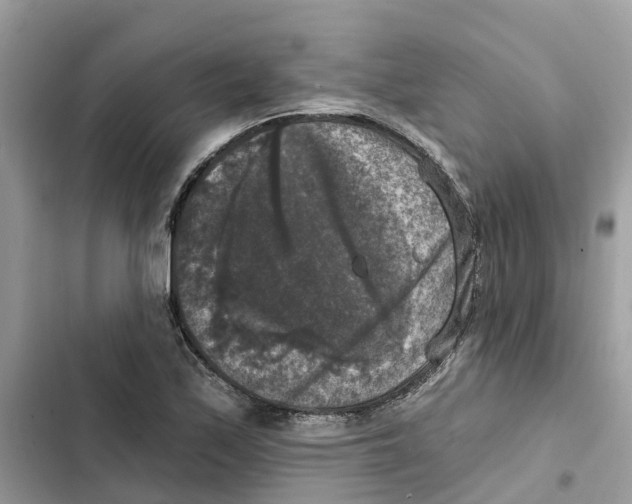 X0000101971171200808151331