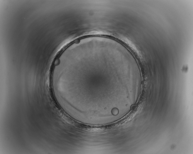X0000101971173200808151331
