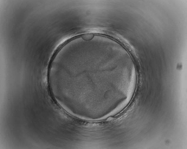 X0000101971174200808151331