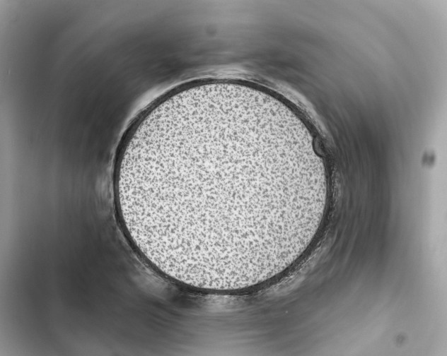 X0000101971176200808151331