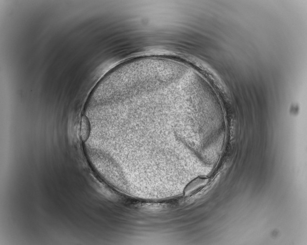 X0000101971177200808151331