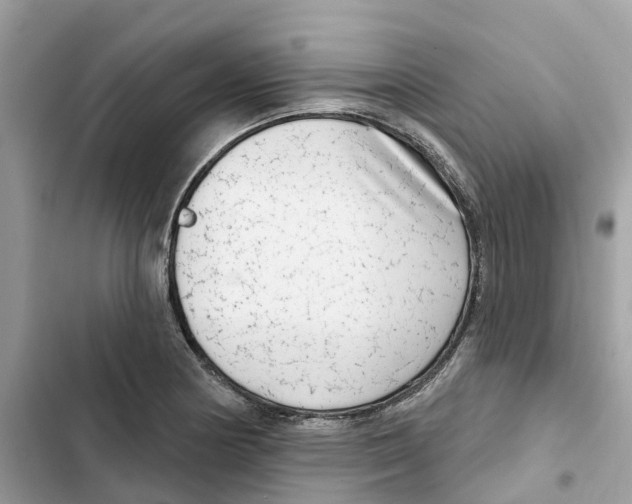 X0000101971178200808151331