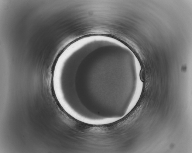 X0000101971179200808151331