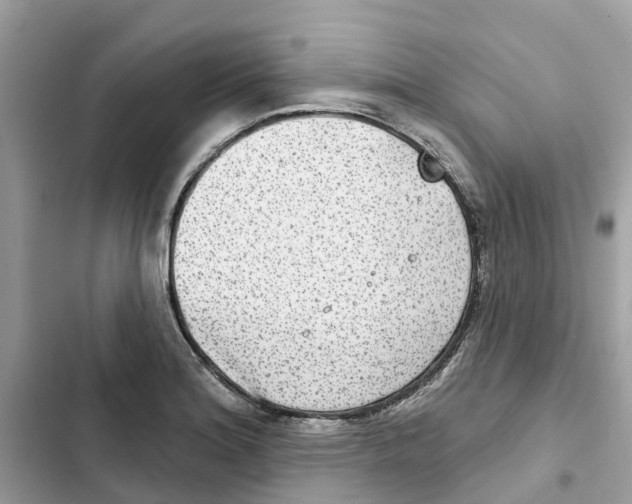 X0000101971180200808151331
