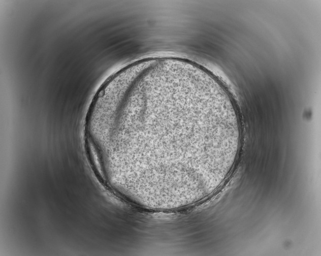 X0000101971181200808151331