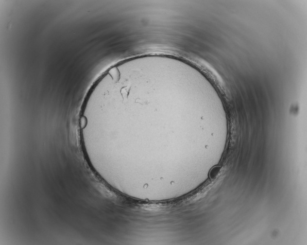 X0000101971182200808151331