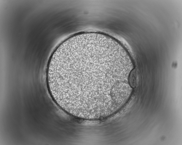 X0000101971183200808151331