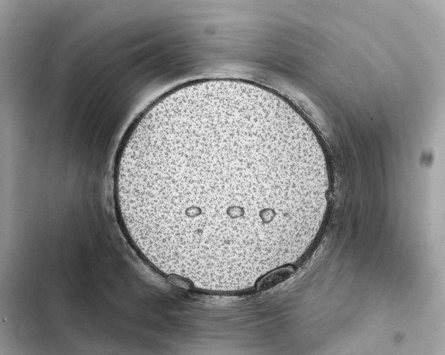 X0000101971184200808151331