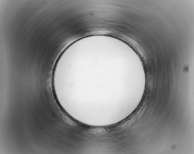 X0000101971186200808151331