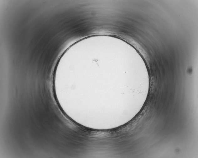 X0000101971187200808151331