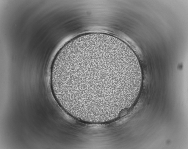 X0000101971188200808151330