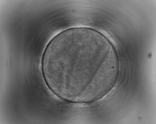 X0000101971189200808151330