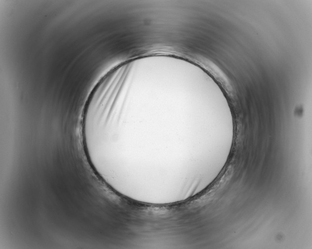 X0000101971190200808151330