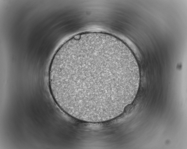 X0000101971191200808151330