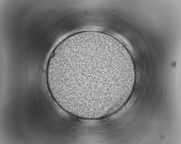 X0000101971192200808151330
