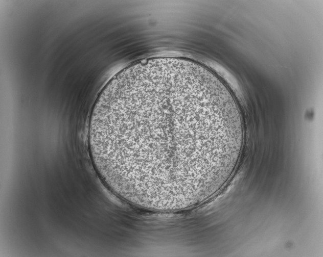 X0000101971193200808151330