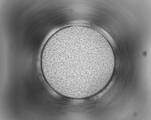 X0000101971196200808151330
