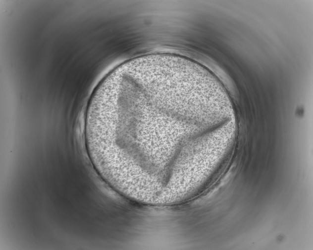 X0000101971198200808151330