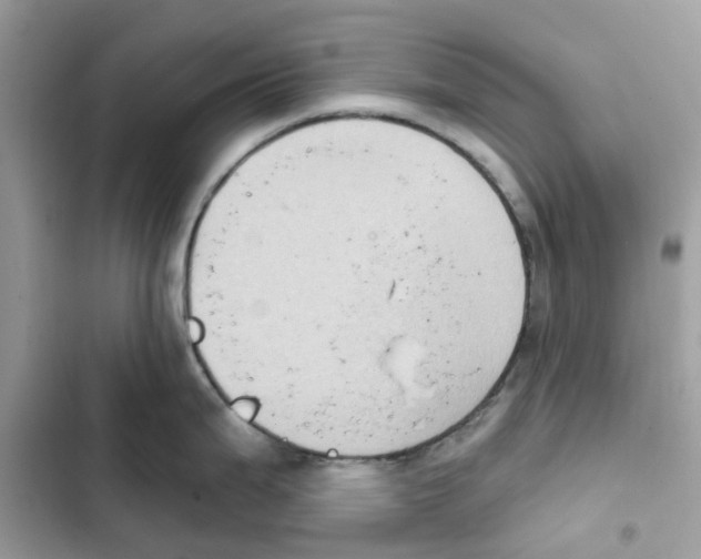 X0000101971199200808151330