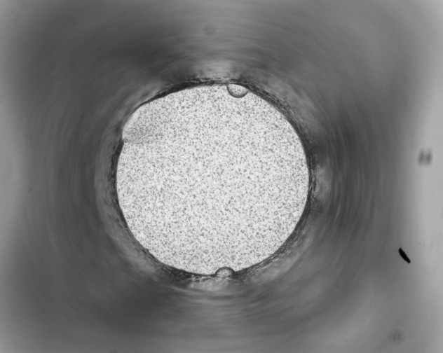 X0000101971201200808151330