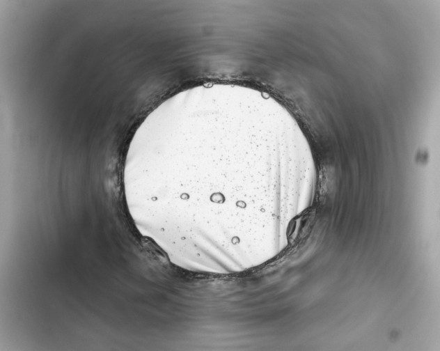 X0000101971202200808151330