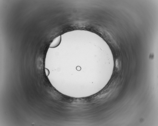 X0000101971203200808151330