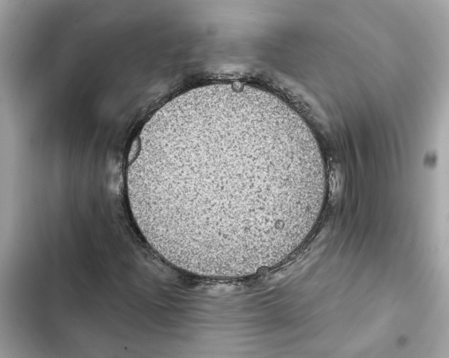 X0000101971204200808151330