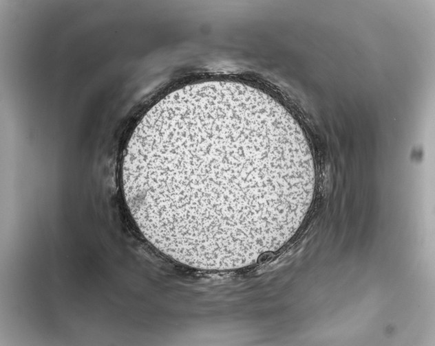 X0000101971205200808151330