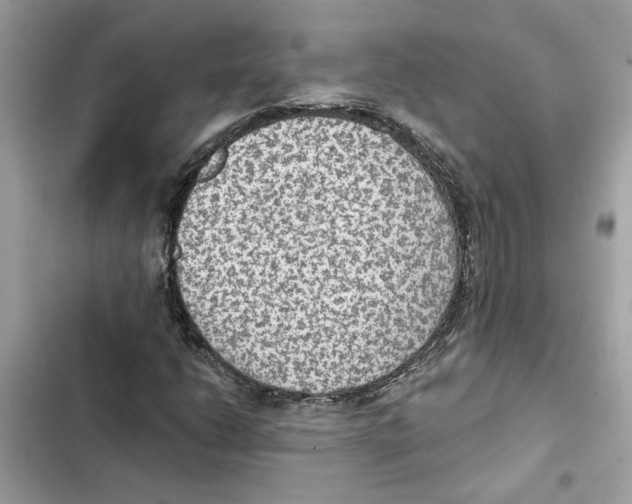 X0000101971206200808151330
