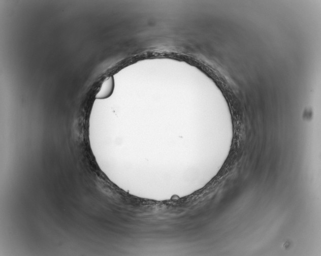 X0000101971207200808151330