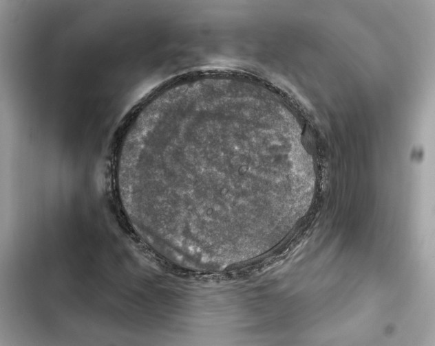 X0000101971208200808151330