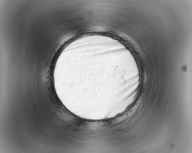 X0000101971210200808151330