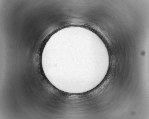 X0000101971211200808151330